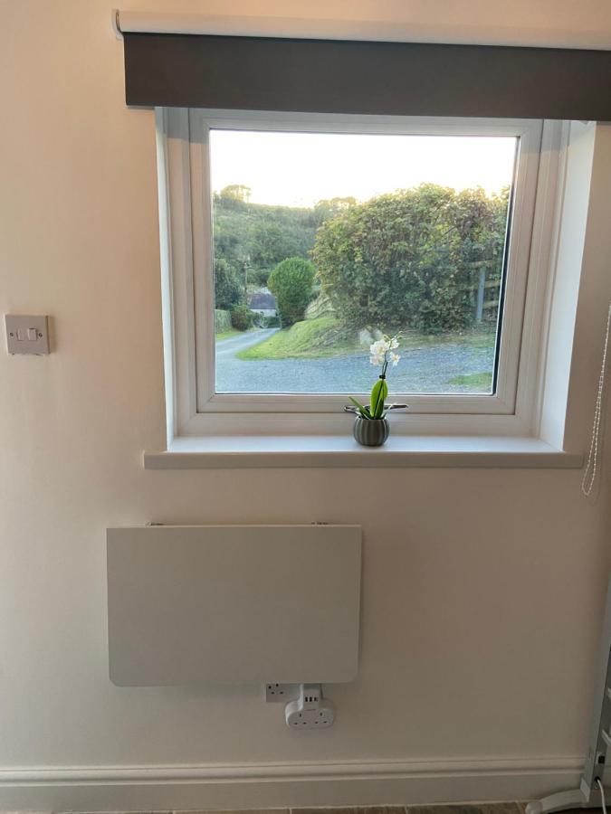 Adorable Bedsit For You, Partner And Your Pet! Stepaside  Buitenkant foto