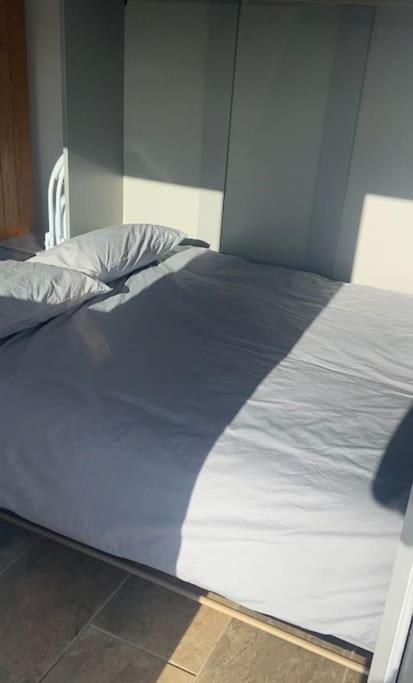 Adorable Bedsit For You, Partner And Your Pet! Stepaside  Buitenkant foto