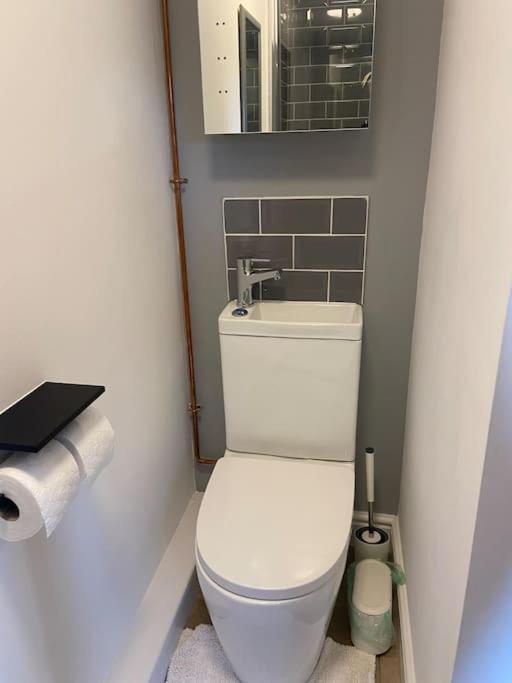 Adorable Bedsit For You, Partner And Your Pet! Stepaside  Buitenkant foto